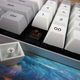 Illustration for article titled Vortex Vibe Keyboard Review: Smaller By The Numbers